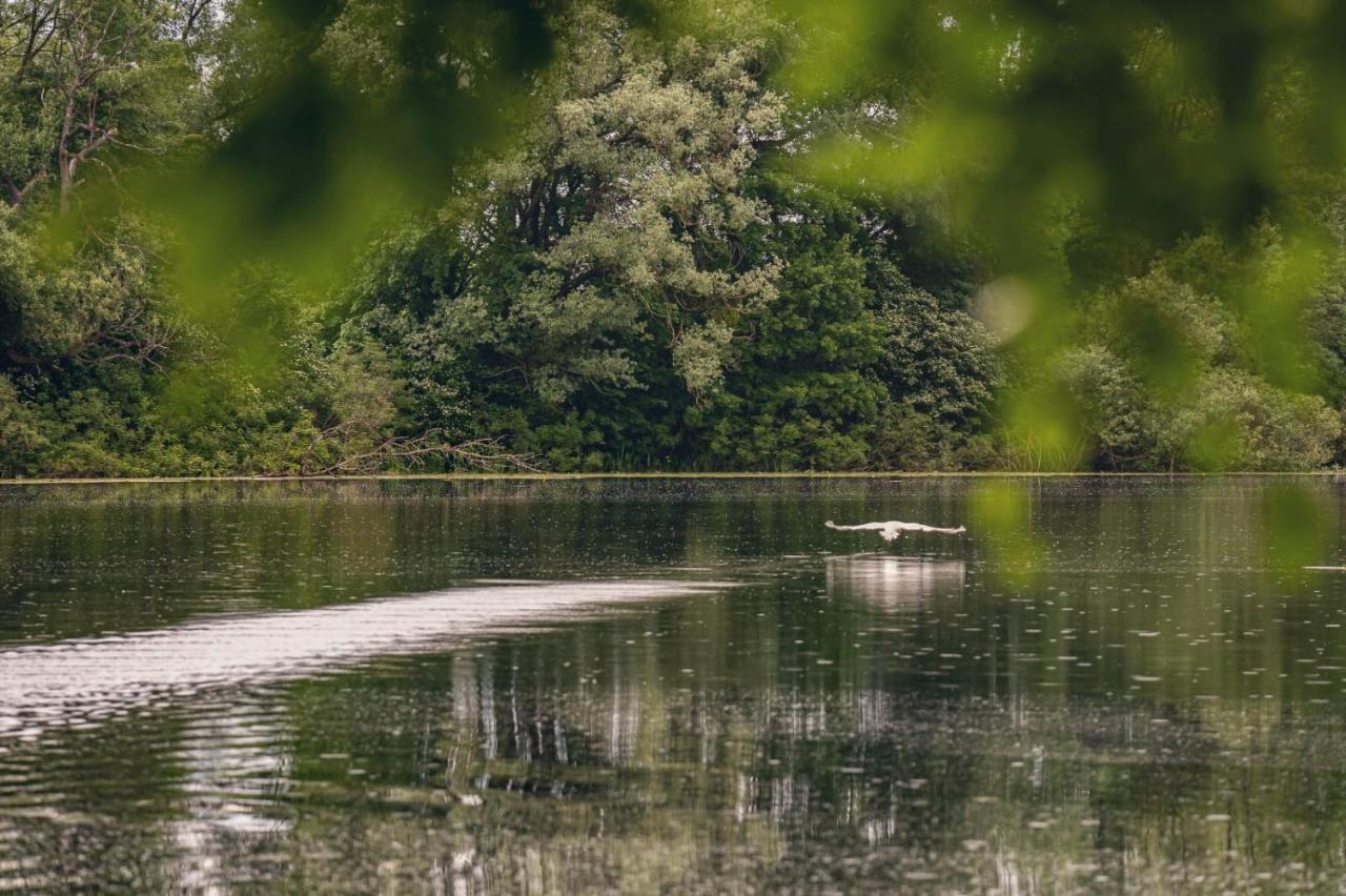 Rajski Vrt - Lake House - Paradise Garden Sisak Eksteriør billede