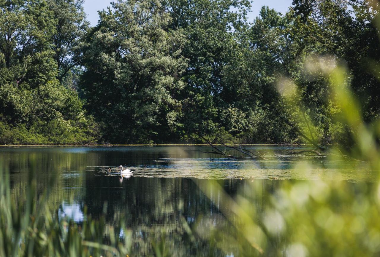 Rajski Vrt - Lake House - Paradise Garden Sisak Eksteriør billede