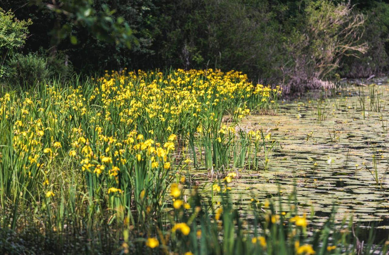 Rajski Vrt - Lake House - Paradise Garden Sisak Eksteriør billede
