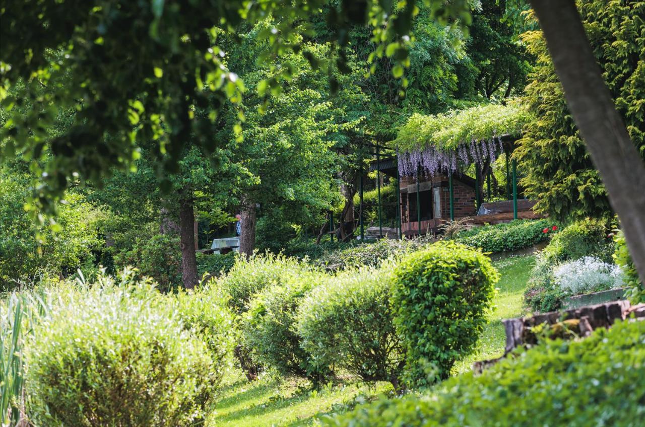 Rajski Vrt - Lake House - Paradise Garden Sisak Eksteriør billede