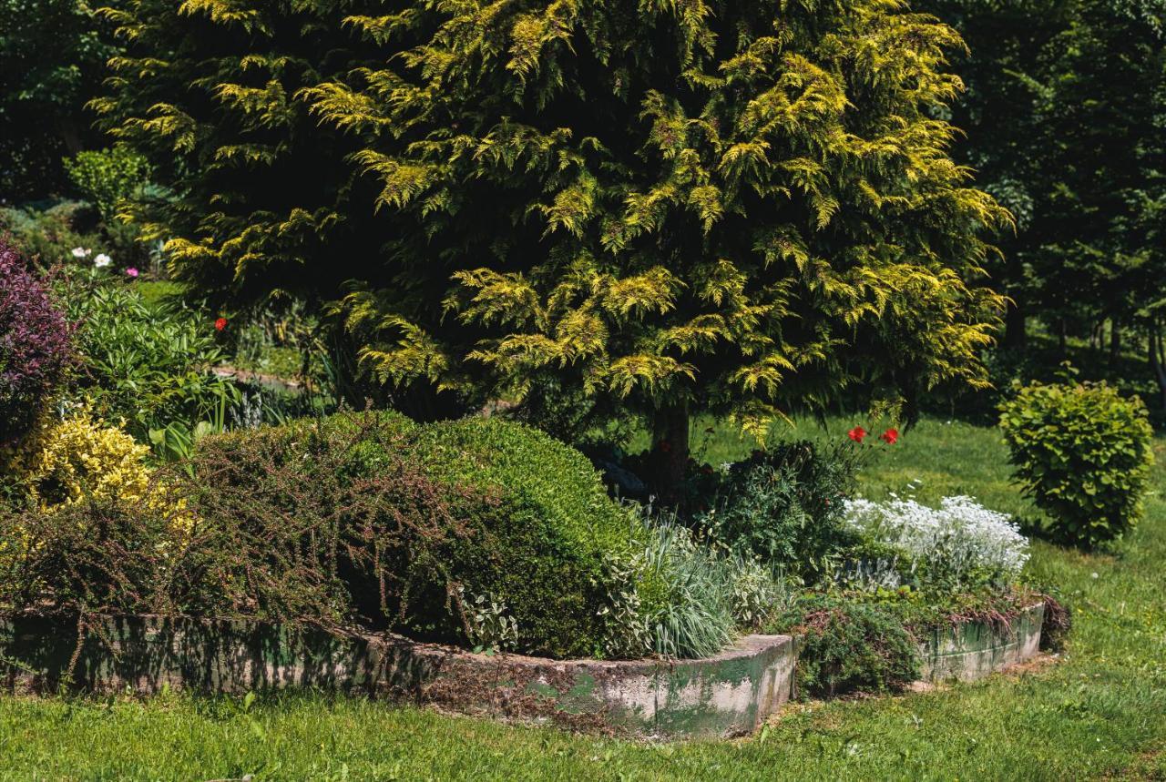 Rajski Vrt - Lake House - Paradise Garden Sisak Eksteriør billede
