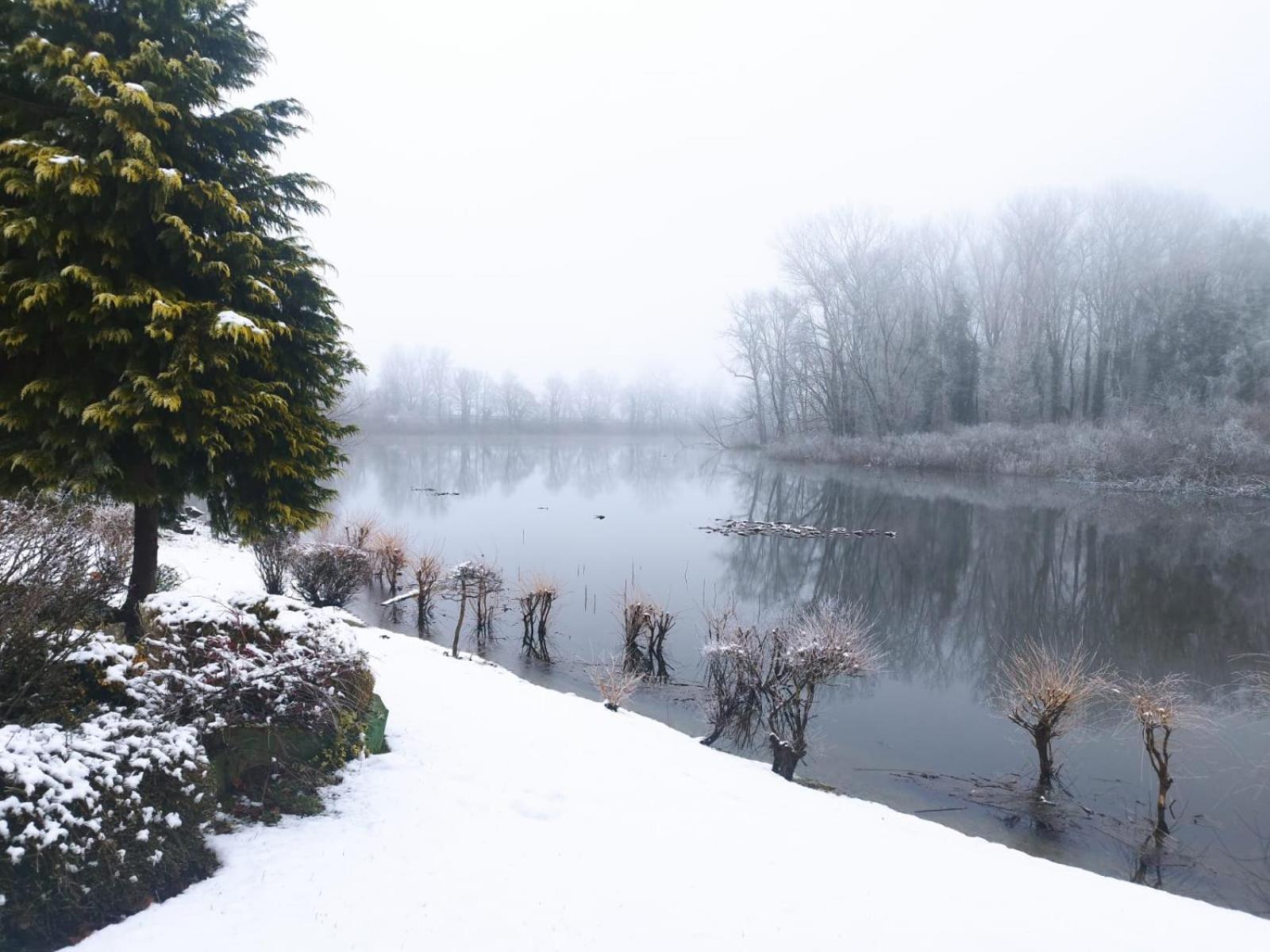 Rajski Vrt - Lake House - Paradise Garden Sisak Eksteriør billede